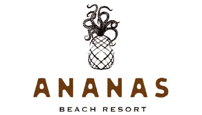 whatsapp image 2026 01 14 at 3.44.23 pm removebg preview